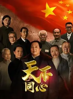 《天下同心》：爱与希望交织，守护和平的史诗赞歌