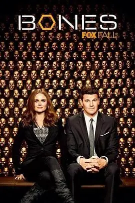 《识骨寻踪第九季》：骨骼里的秘密，真相的呼唤！