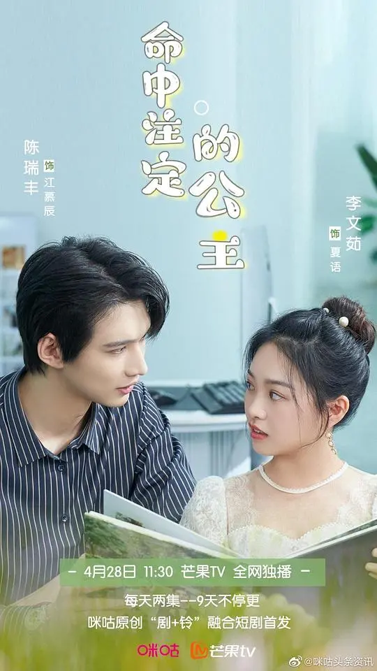 命中注定的公主 海报