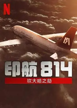 《印航814》：真实事件改编，一场惊心动魄的空中危机与人性的考验！