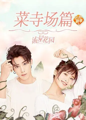 爆笑来袭！《星花园菜寺场篇》：当经典偶像剧遭遇东北二人转，笑到头掉！